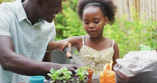 Child and Adult Planting Seedlings Together