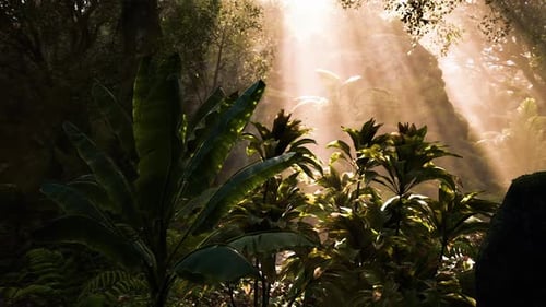Sunlight Rays Through Tropical Jungle Forest Animation
