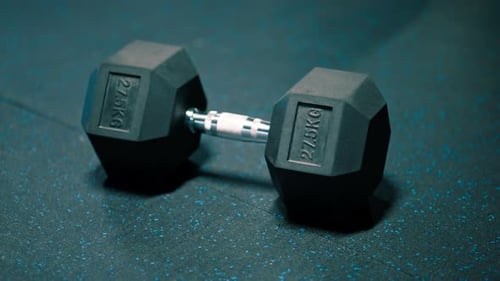 sports equipment in the gym dumbbells weights various simulators playing sports an active lifestyle