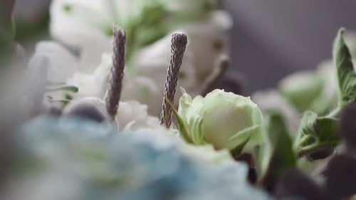 Stylish Bouquet of White Roses on Display of Flower Shop