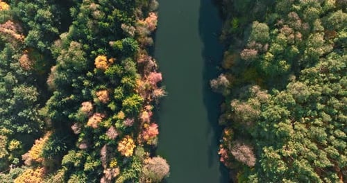 Top down view of river Brda in autumn at sunrise.