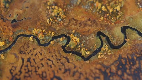 Aerial view of the river meandering through the marshy autumn landscape of the Norwegian tundra. Til