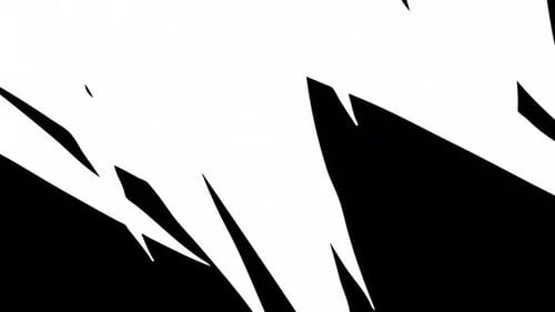 Sharp Geometric White and Black Reveal Animation