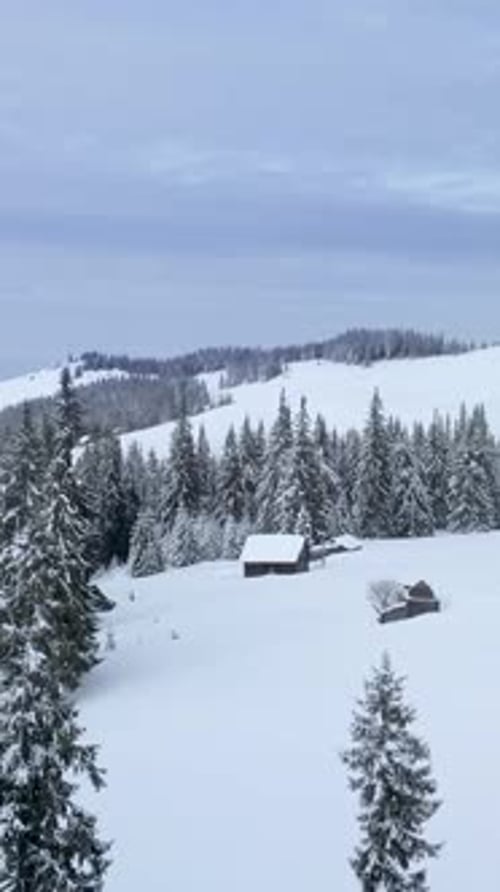 Aerial View of SnowCovered Pine Trees and Cabins in Tranquil Mountain Landscape at Sunrise