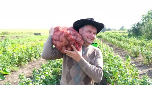 Happy Farmer Harvesting Potatoes in a Rural Field
