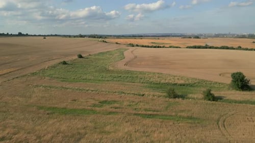 Farmland With Harvested Wheat Crops In The Background In Poland. Aerial Drone Shot