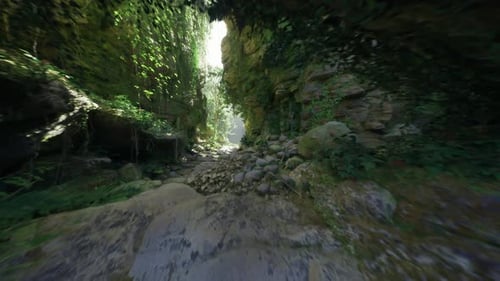 Peaceful Rocky Cave Environment Cool Mosscovered Grotto with Lush Ferns