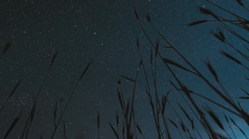 Bottom View Rotate Motion Night Starry Sky With Glowing Stars And Meteoric Tracks Trails Above Young