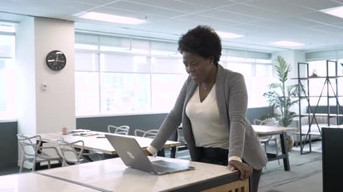 Businesswoman Working at Laptop in Coworking Space Office Adult