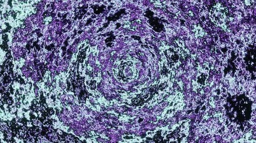 Purple And Turquoise Psychedelic Background Loop Animation In Hd