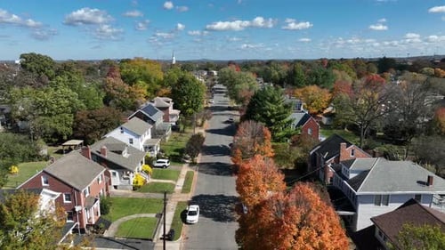 Tree lined Street in quiet american neighborhood during sunny day. Colored trees with house and home