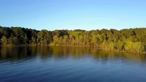 Rio e floresta