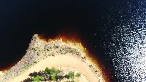 4K aerial drone footage of a forest at the edge of a lake