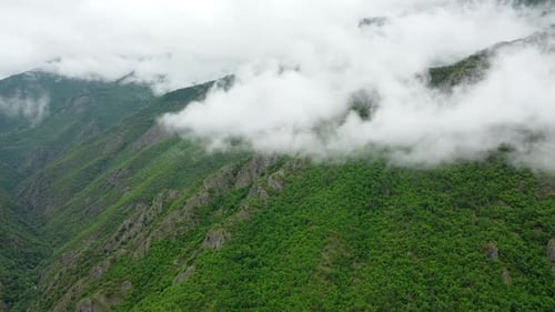 Clouds Over Beautiful Summer Mountains Green Forest Magical Natural Morning Fog Nature Landscape