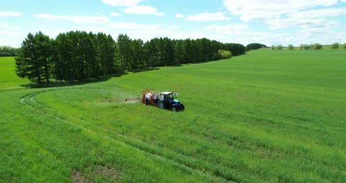 Tractor with a Sprayer Fertilizes Crops in the Field Aerial View
