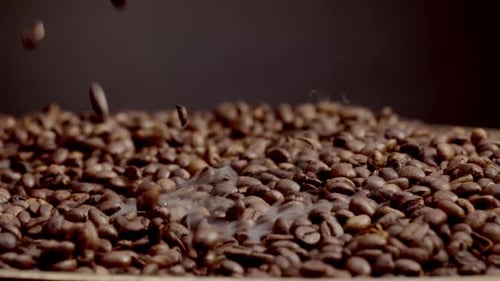 Dampfende geröstete Kaffeebohnen aus nächster Nähe. Braune aromatische Körner, die herabfallen