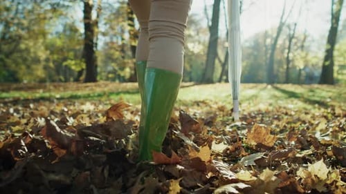 Low section of woman's legs wearing rain boots walking in forest with umbrella. Shot with RED helium