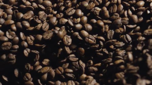 Close Up of Roasted Coffee Beans