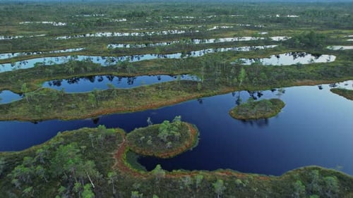 Aerial View of a Beautiful Wilderness Peat Bog