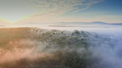 Amazing Sunrise Over Mountain Forest Covered By Haze