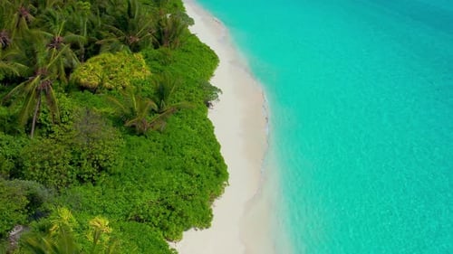 Aerial View on Beautiful White Sandy Beach with Turquoise Ocean Water Waves and Green Palm Trees on