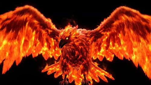 Der Flug des Phoenix Phase 2