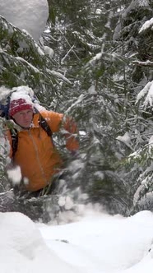 A Man with a Backpack Travels in the Forest in Winter