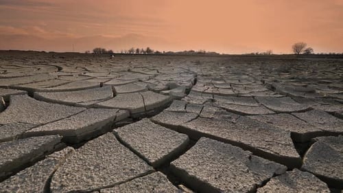 Cracked Earth in a Dry Landscape at Sunset
