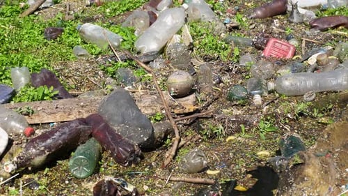 Many Plastic Bottles Lying on Green Lawn at Forest Trash is Dumped in Open and Freely Available