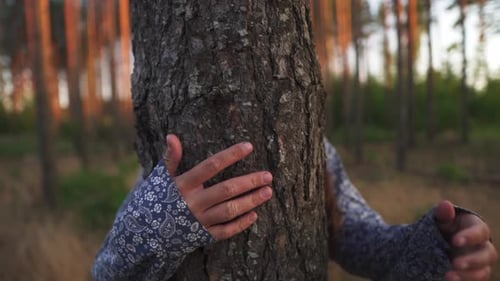 Protecting the Environment and Saving the Forest