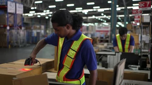 Logistics employees are working warehouse.