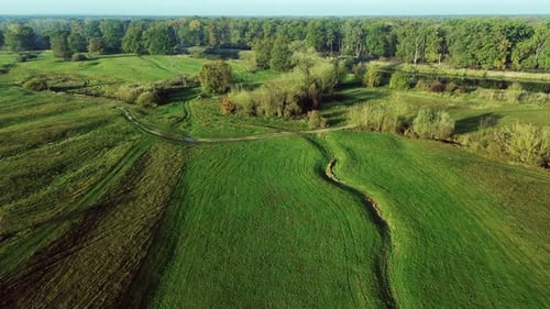 Aerial View of Rural Green Fields and Forest