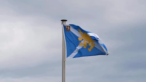 Flag with Lion Symbol Waving in the Wind