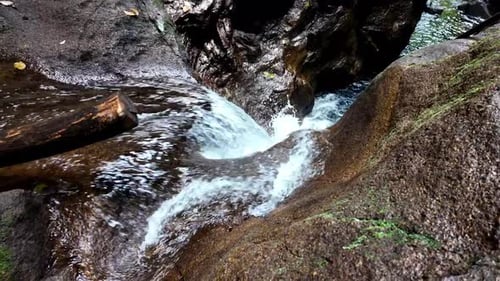 Forest stream through the rocks