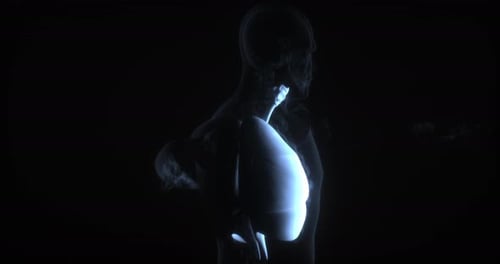 Human Lungs Breathing Animation in X-ray Style