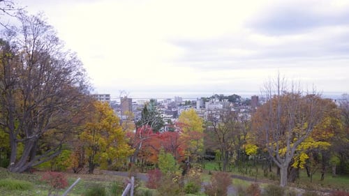 The best view in Otaru