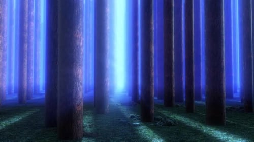 Scène de forêt nocturne avec lumière bleue vive