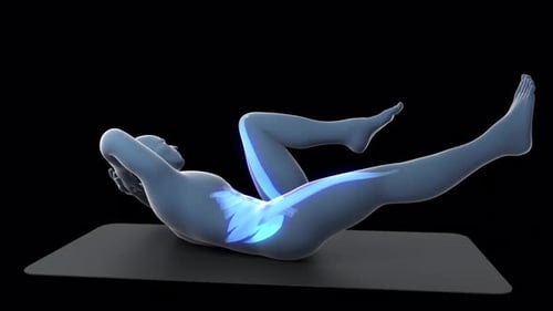 Human anatomy demonstrating abdominal core exercise with glowing muscle activation sequence