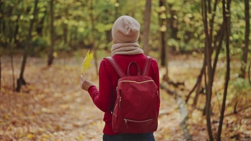 A Young Woman in a Red Sweater and Hat Walks with a Backpack in a Beautiful Autumn Forest The Dry