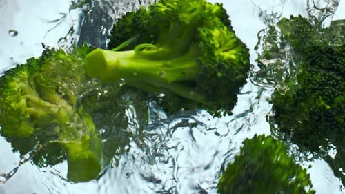 Green Broccoli Dropped Water on White Background