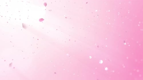 Falling Pink Petals and Glitter Bokeh Animation