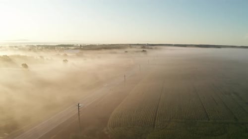 Cars on a country road covered in light morning fog. Sunlight shines on fog hovering over wide agric