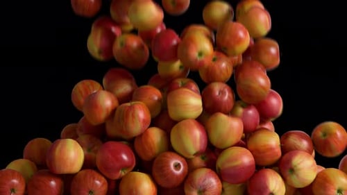 Realistic Apples Falling and Filling Frame with Alpha Channel