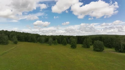Endless Forest Landscape Under A Cloudy Sky