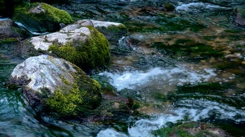 A stream of water flows past stones that are covered with green moss
