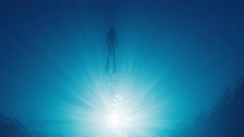 Woman Swims on the Surface of the Tropical Sea Bottom Underwater View of the Young Woman Swimming in