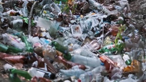Forest Floor Covered in Trash