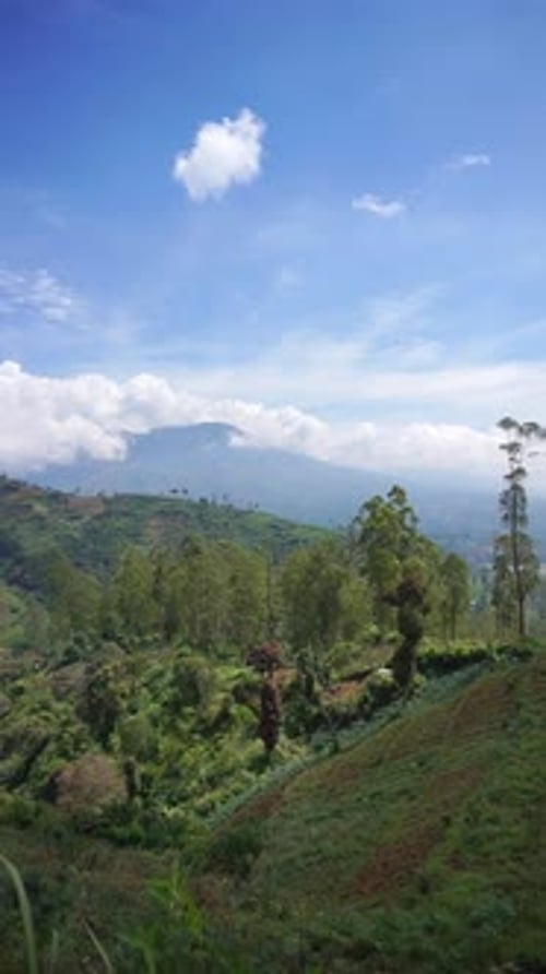 beautiful vertical video portrait beautiful mountain natural scenery hilly nature panorama