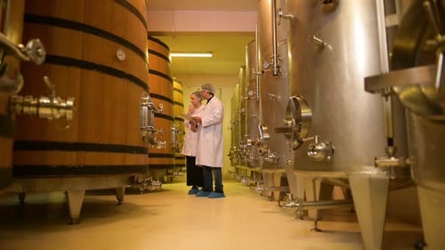 Vigneron professionnel contrôlant le processus de fabrication et la qualité du vin dans une usine vinicole