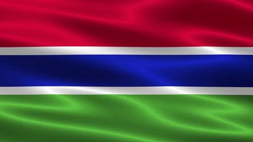 Waving Flag of The Gambia with Realistic Fabric Texture